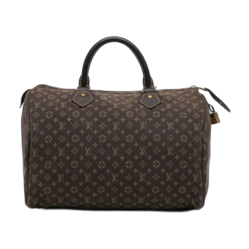 Louis Vuitton Speedy Top Handle Bag Brown 30