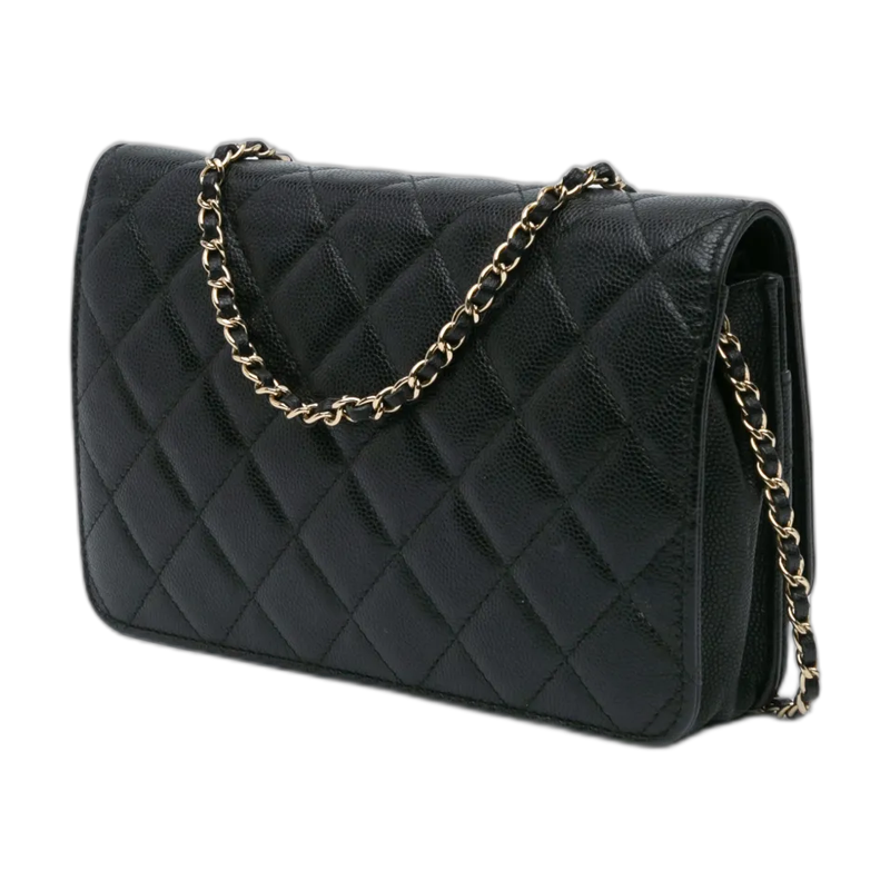 Chanel Wallet On Chain Shoulder Bag in Black Leather