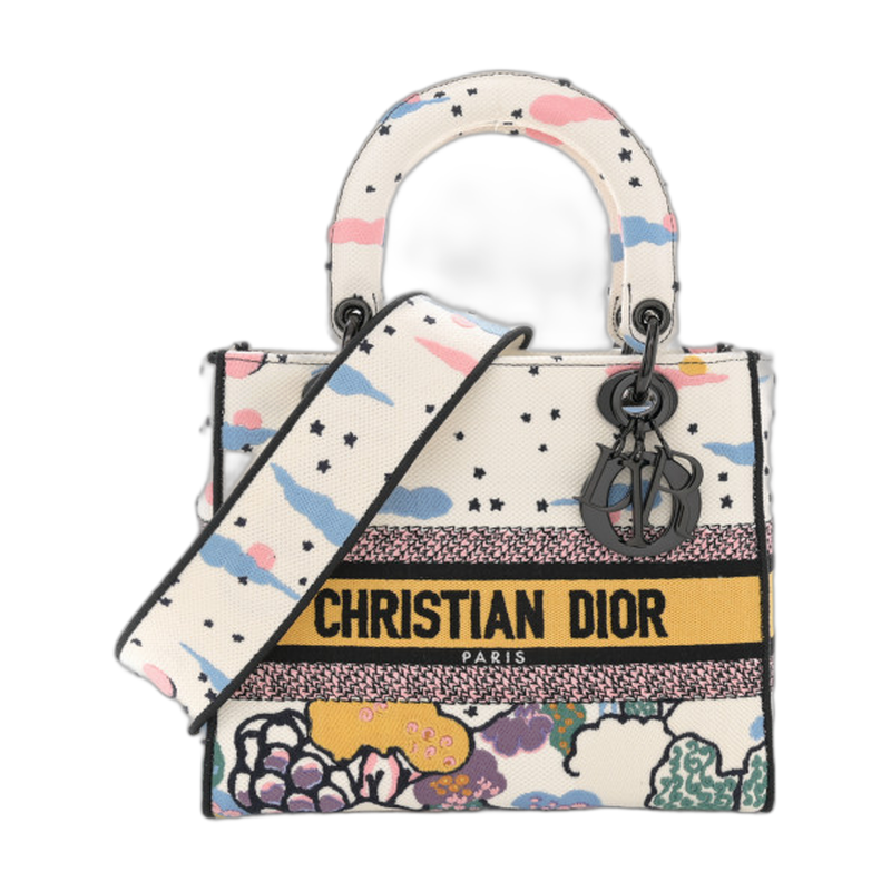 Dior Lady D-Lite Top Handle