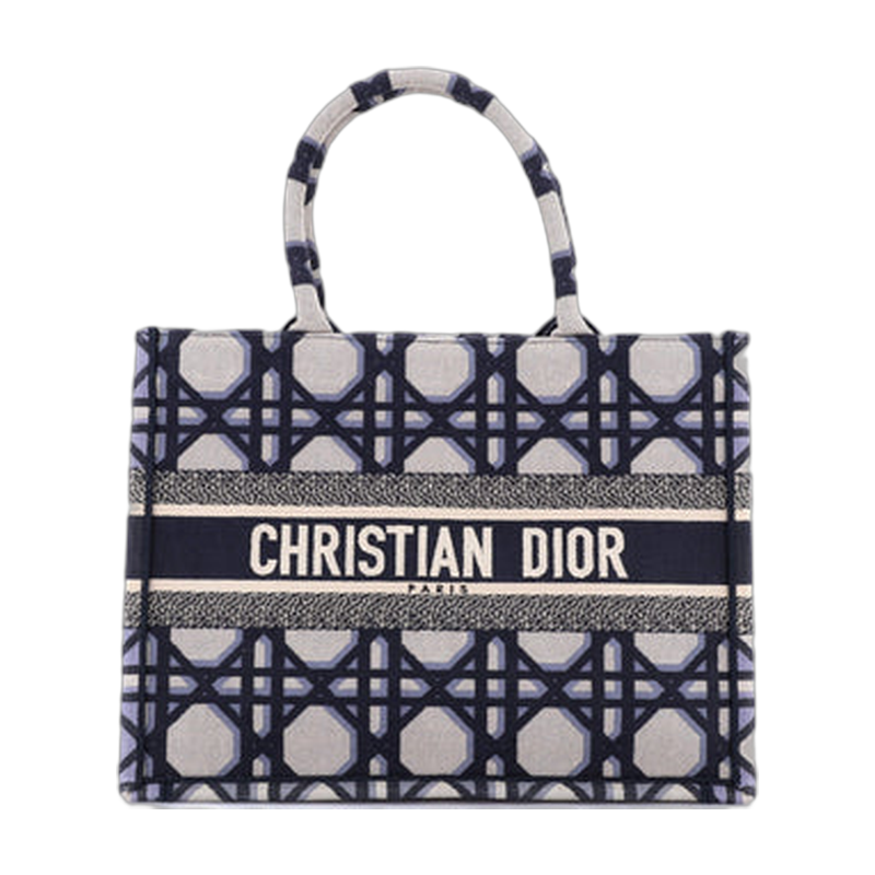 Dior Book Tote Blue Medium Canvas Bag