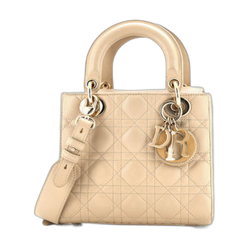 Dior Lady Dior Top Handle in Neutrals