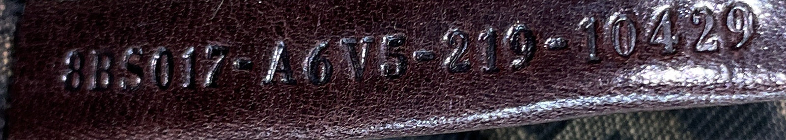 Image 7