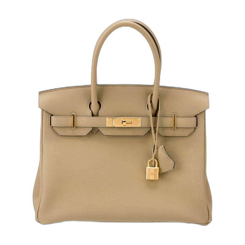Hermes Birkin Top Handle Bag